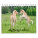 Suche nach colt kalender Pony