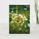 Suche nach grüne erde karten Natur