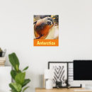 Suche nach meereswelt poster Meeresthema
