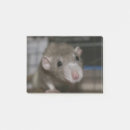 Suche nach ratte post it Niedlich
