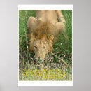 Suche nach löwen poster Gott