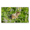 Suche nach wildblumen visitenkarten Niedlich