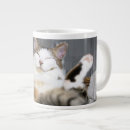 Suche nach große katze tassen Hauskatze
