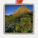 Suche nach alpine ornamente Usa