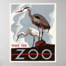 Suche nach zoos poster Vögel
