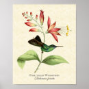 Suche nach nymphen poster Vintag