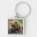 Suche nach grizzlybär schlüsselanhänger Natur