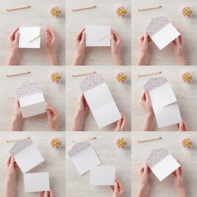 Suche nach swans einladungen Natur