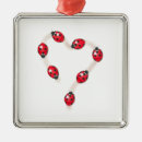 Suche nach ladybug ornamente Liebe