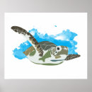 Suche nach schildkröte liebe poster Die schildkröten gerettet