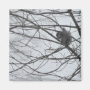 Suche nach schneemagnet Natur