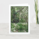 Suche nach zypressen karten Wald