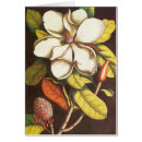 Suche nach magnolie karten Vintage