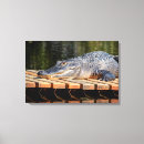 Suche nach wildlife leinwandbilder Natur