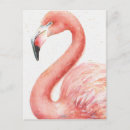 Suche nach rosa flamingo postkarten Tier