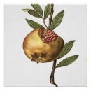 Suche nach granatapfel poster Herbst
