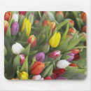 Suche nach bündel mousepads Blume