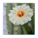 Suche nach illustrierte fliesen Weiß