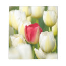 Suche nach feld notizblock Nordamerika