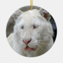 Suche nach weißer tiger ornamente Tier