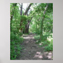 Suche nach waldweg poster Bäume
