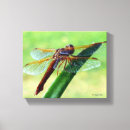 Suche nach insekten leinwandbilder Natur