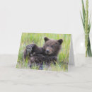 Suche nach braunbär karten Alaska