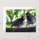 Suche nach vater postkarten Für sie/ihn