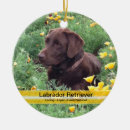 Suche nach schokolade labrador ornamente Haustiere