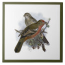 Suche nach vintage vögel fliesen Keramik