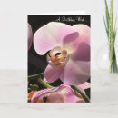 Suche nach orchideen geburtstag karten Blumig
