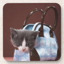 Suche nach tierkopf untersetzer Betrachten der kamera