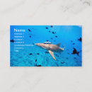 Suche nach haifisch visitenkarten Meer