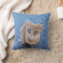 Suche nach geschenkideen für katzenliebhaber kissen Kätzchen