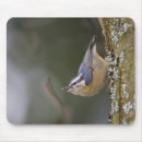 Suche nach gekrönt mousepads Umwelt