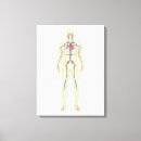 Suche nach menschliche anatomie leinwandbilder Gesundheitswesen