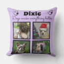 Suche nach hundeliebhaber kissen Hundefreund