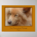 Suche nach gesichter poster Kaninchen