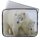 Suche nach polar laptop schutzhüllen Natur