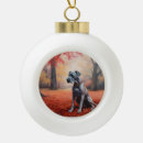 Suche nach doggen alle ornamente Haustier