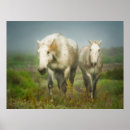 Suche nach la mer poster Ranch