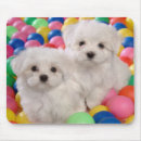 Suche nach bichons mousepads Hund
