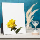 Suche nach gelb fotoplatten Rose