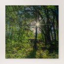 Suche nach licht zu meinem weg puzzle Wald