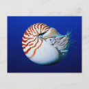 Suche nach nautilus postkarten Übelkeit