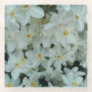 Suche nach narzisse untersetzer Weiß