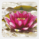 Suche nach unschärfe aufkleber Blume