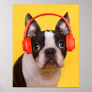 Suche nach cute animals poster Dog