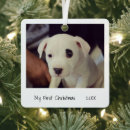 Suche nach schwarzer hund ornamente Für haustiere