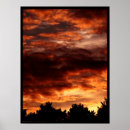 Suche nach phänomen poster Natur